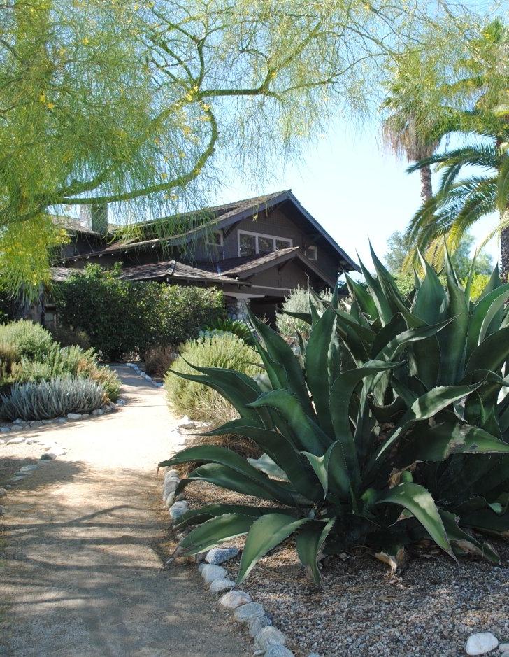 Grove House exterior with succulents in the foreground 